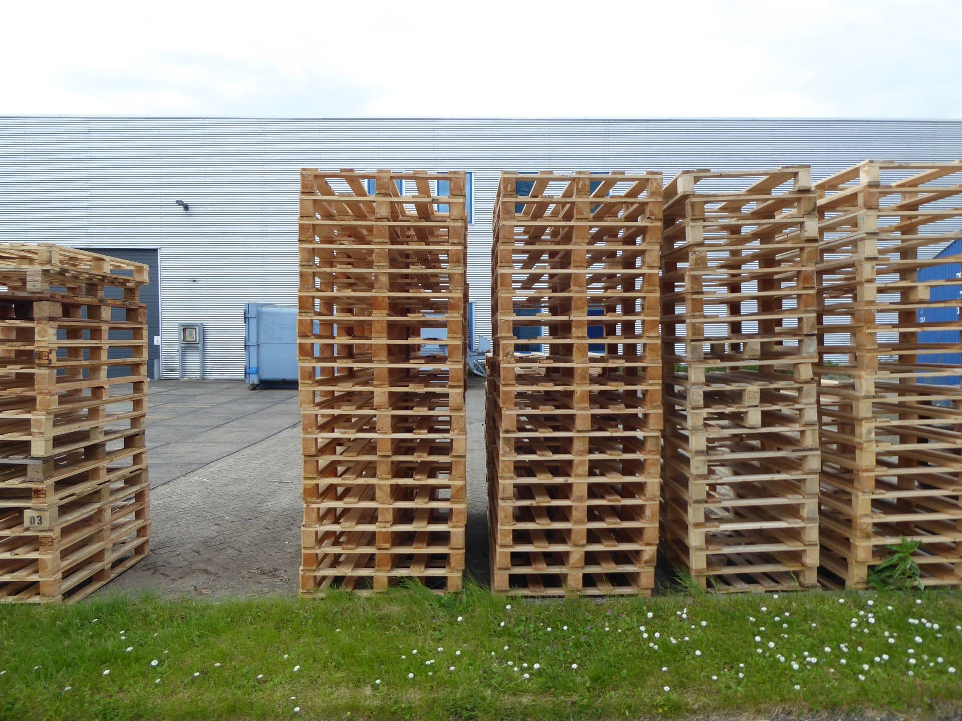 Rows of wooden pallets in warehouse